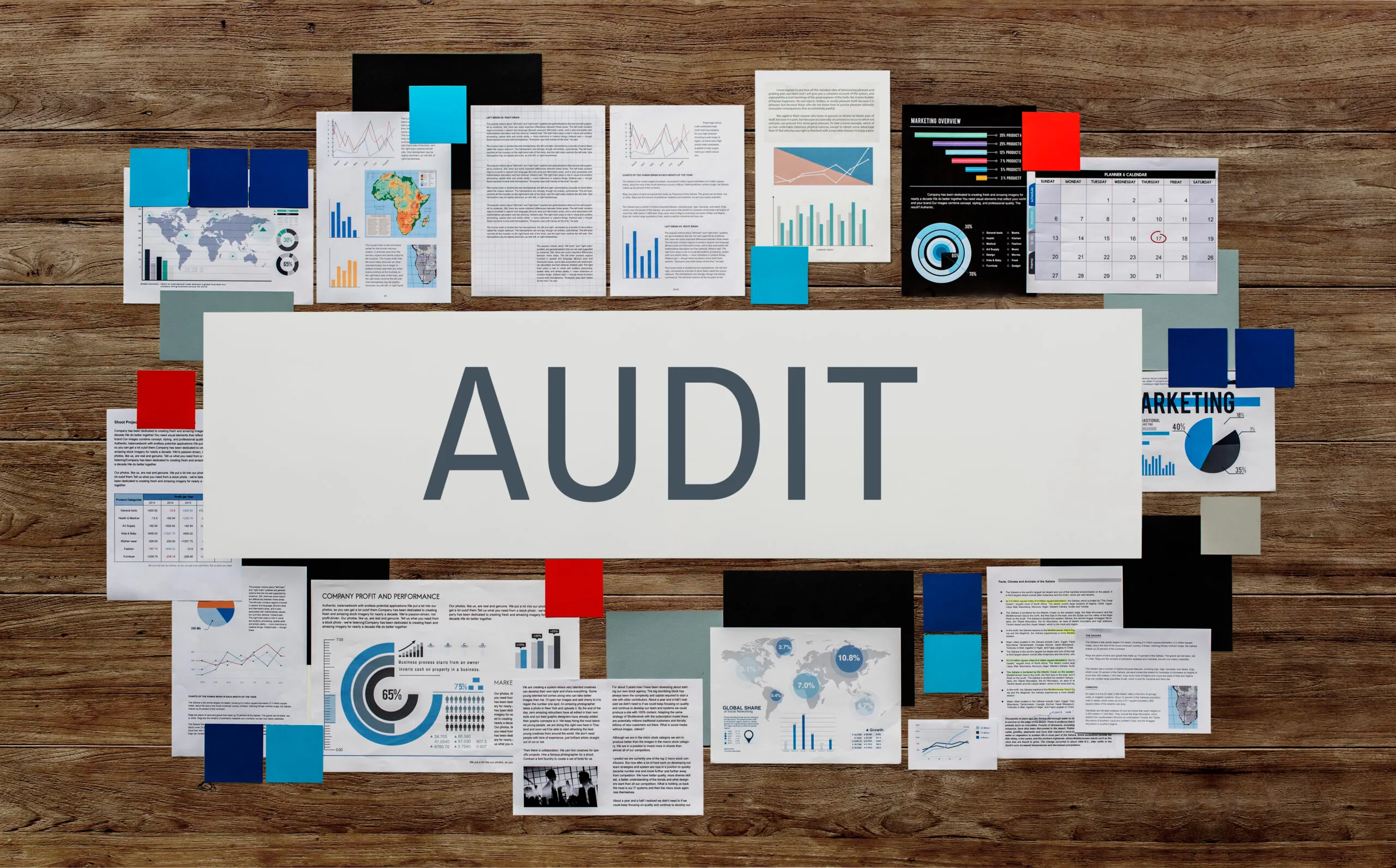 Audit Management Services in Abu Dhabi